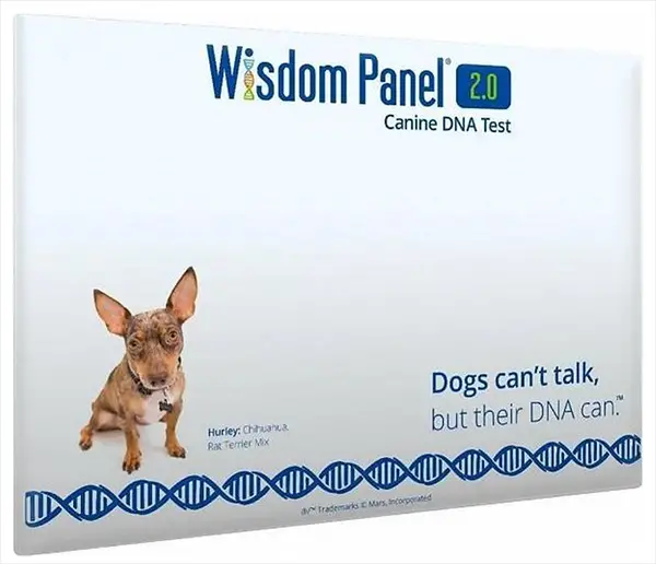 Goedkope DNA Test Hond