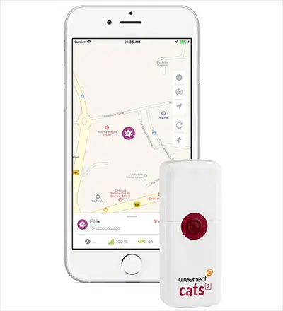 Weenect GPS Tracker Kat