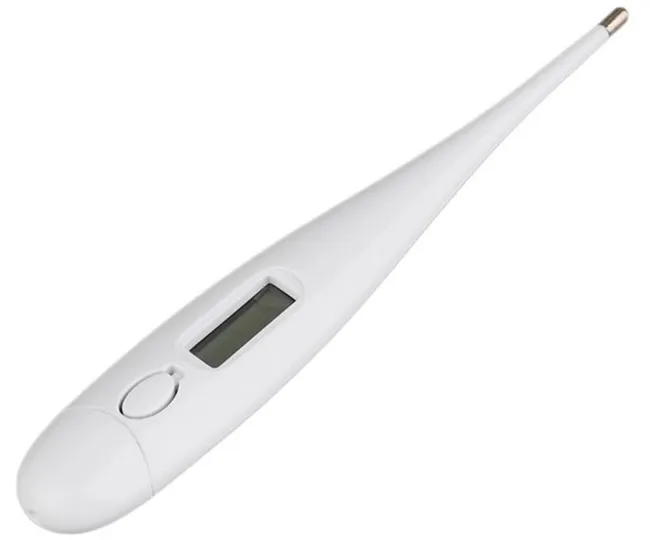 Rectale Thermometer Hond Koorts