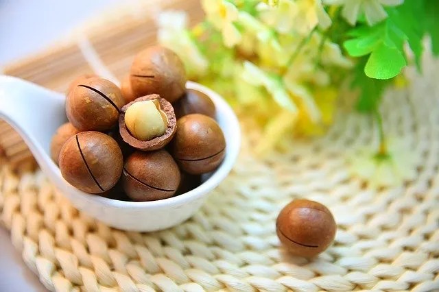 macadamia noten